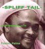 LP Spliff Tail TRISTON PALMA